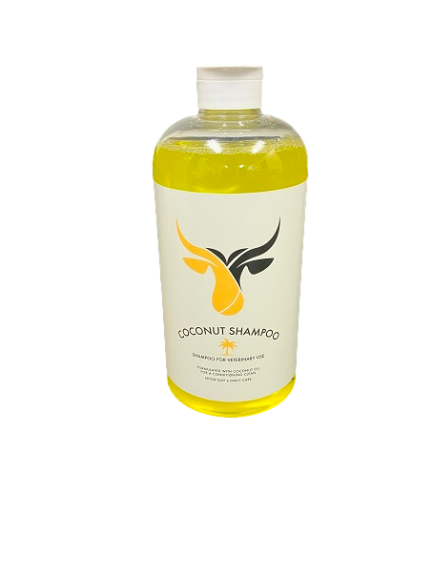 ココナッツシャンプー　小